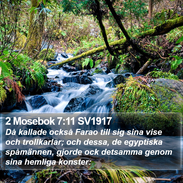 2 Mosebok 7:11 SV1917 Bible Study