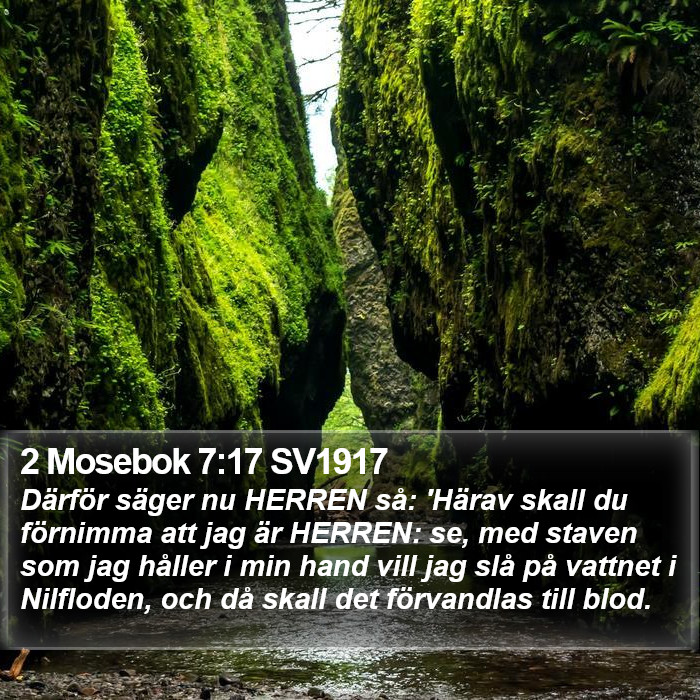 2 Mosebok 7:17 SV1917 Bible Study