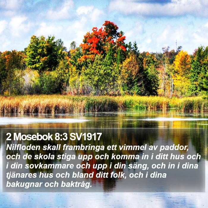 2 Mosebok 8:3 SV1917 Bible Study
