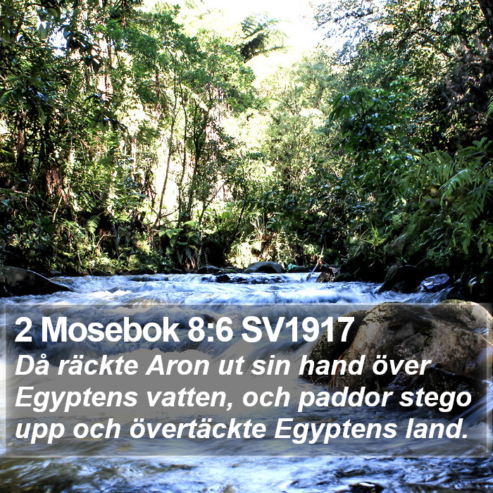2 Mosebok 8:6 SV1917 Bible Study