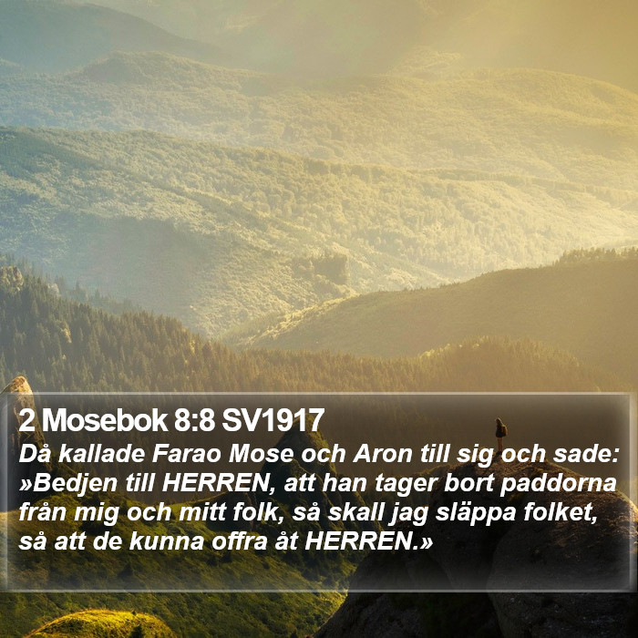 2 Mosebok 8:8 SV1917 Bible Study