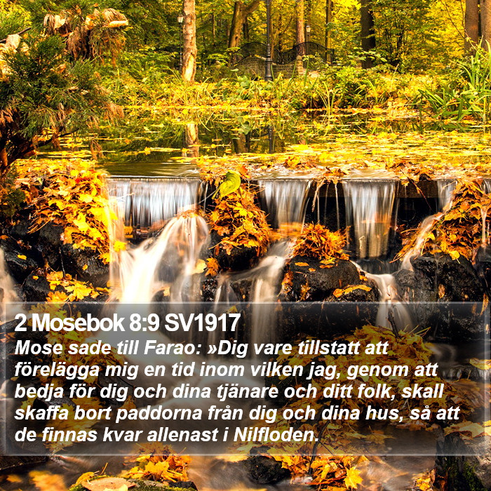2 Mosebok 8:9 SV1917 Bible Study
