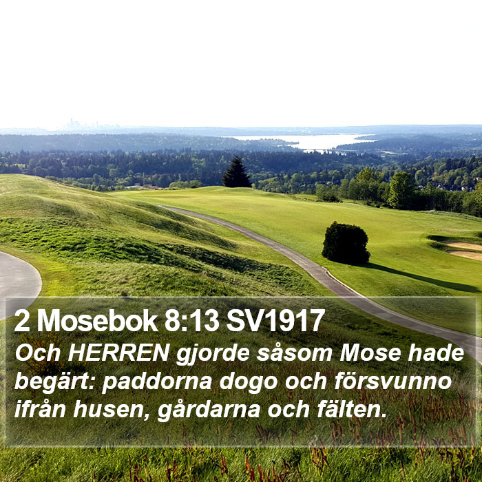 2 Mosebok 8:13 SV1917 Bible Study