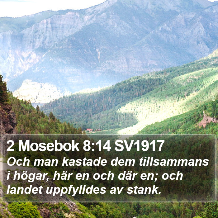 2 Mosebok 8:14 SV1917 Bible Study