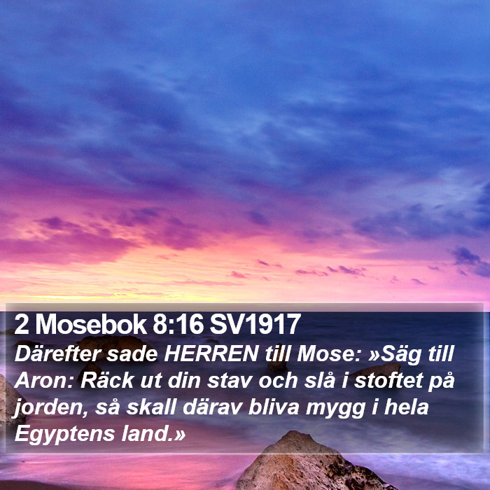 2 Mosebok 8:16 SV1917 Bible Study