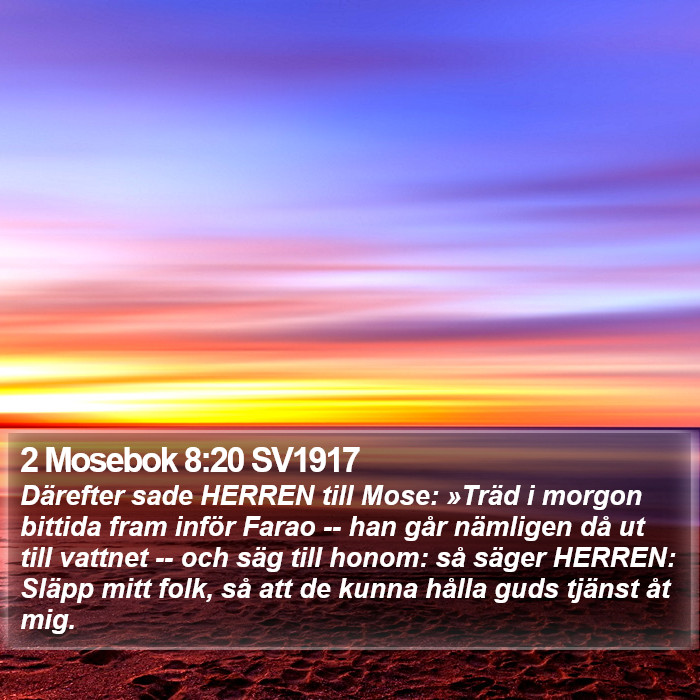 2 Mosebok 8:20 SV1917 Bible Study