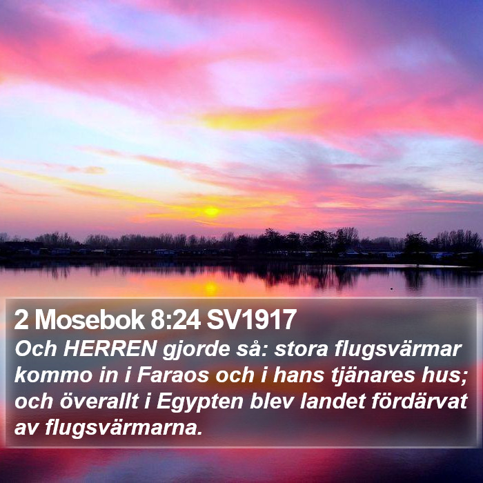 2 Mosebok 8:24 SV1917 Bible Study