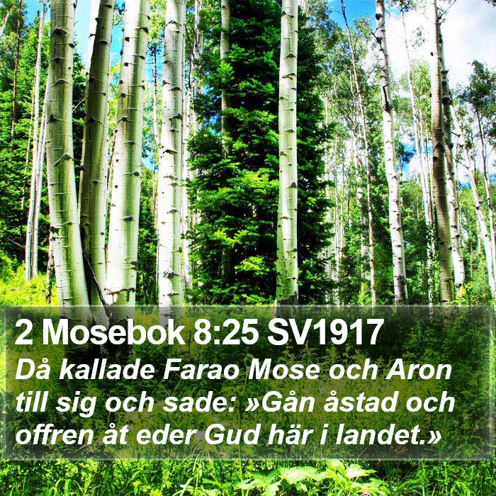 2 Mosebok 8:25 SV1917 Bible Study