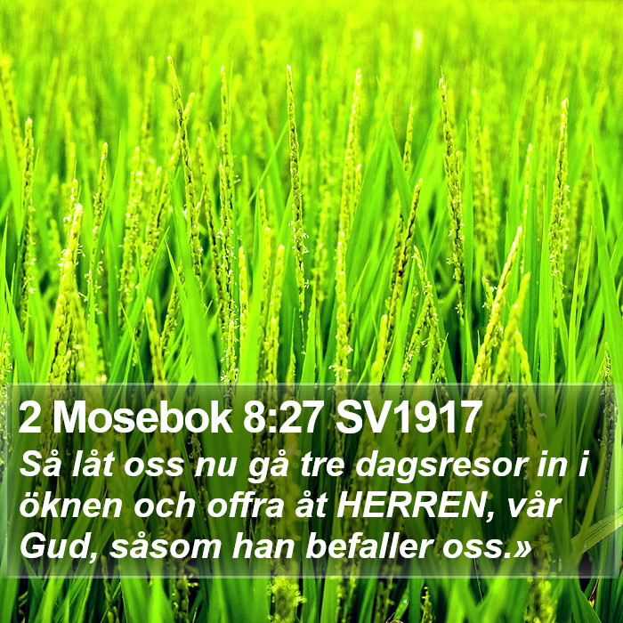 2 Mosebok 8:27 SV1917 Bible Study