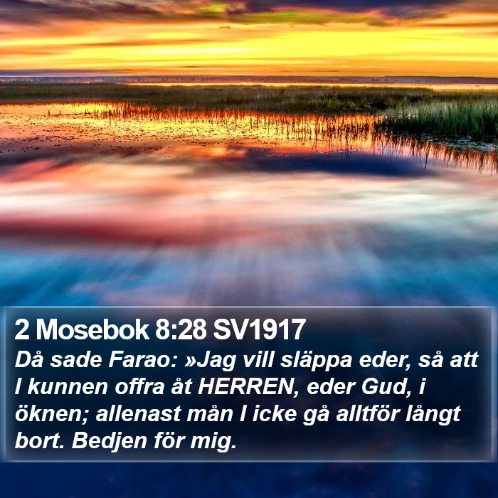 2 Mosebok 8:28 SV1917 Bible Study