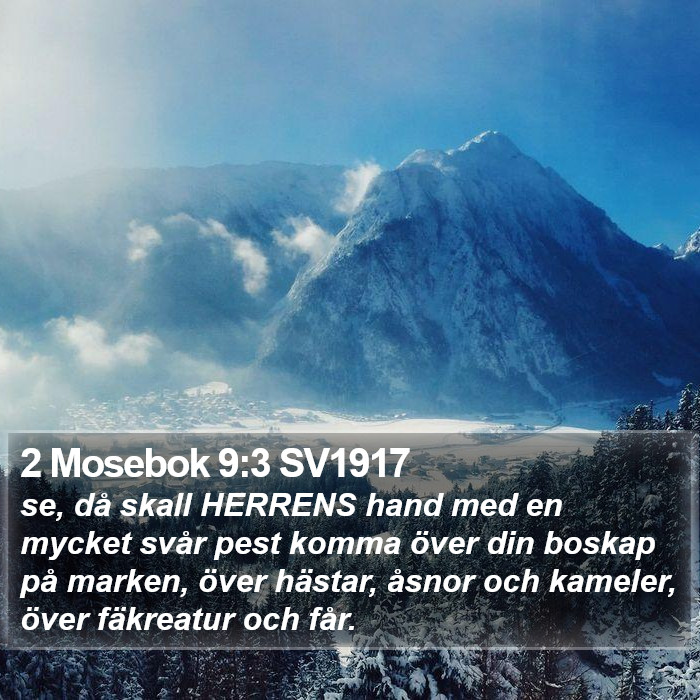 2 Mosebok 9:3 SV1917 Bible Study