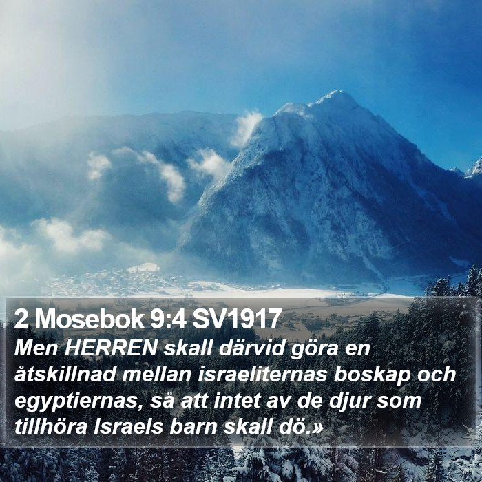 2 Mosebok 9:4 SV1917 Bible Study