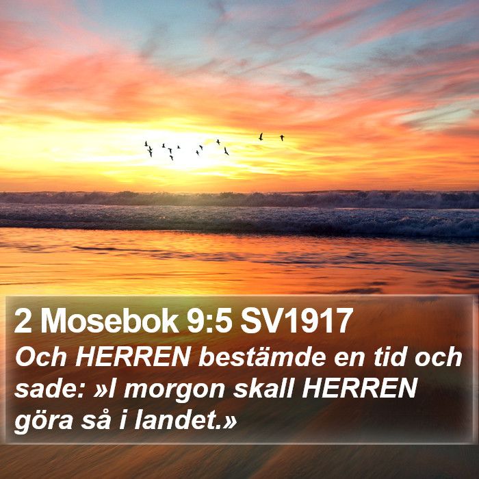 2 Mosebok 9:5 SV1917 Bible Study