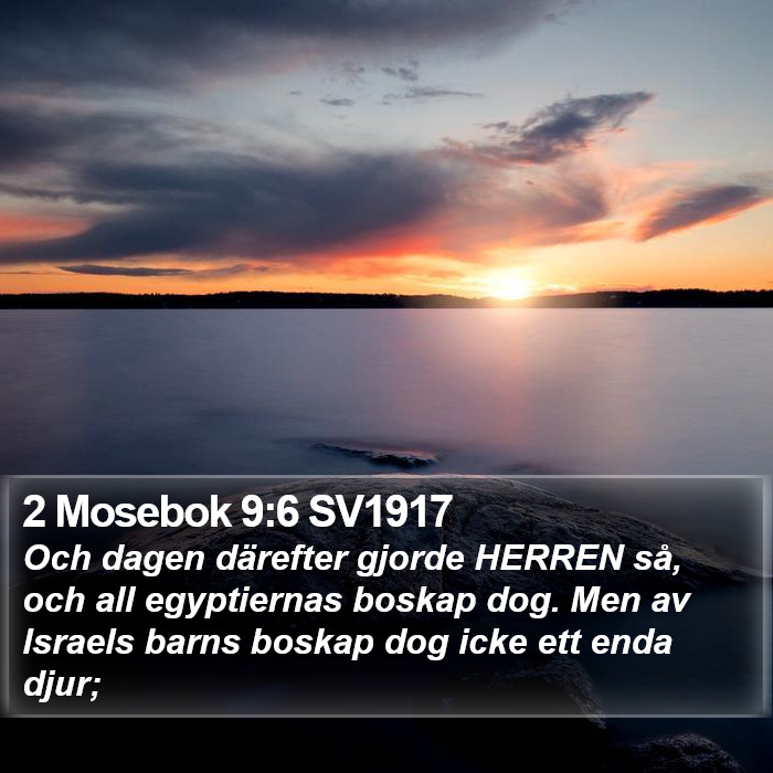 2 Mosebok 9:6 SV1917 Bible Study