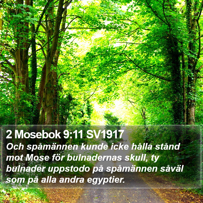 2 Mosebok 9:11 SV1917 Bible Study