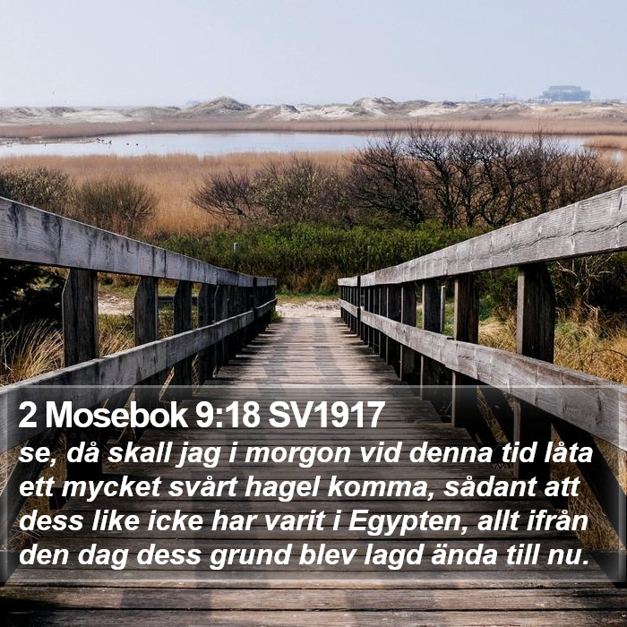 2 Mosebok 9:18 SV1917 Bible Study