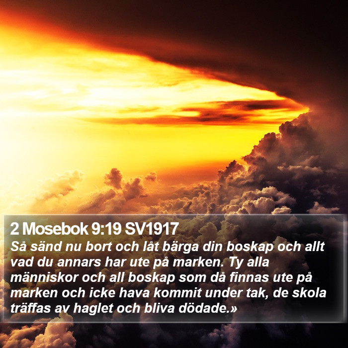 2 Mosebok 9:19 SV1917 Bible Study