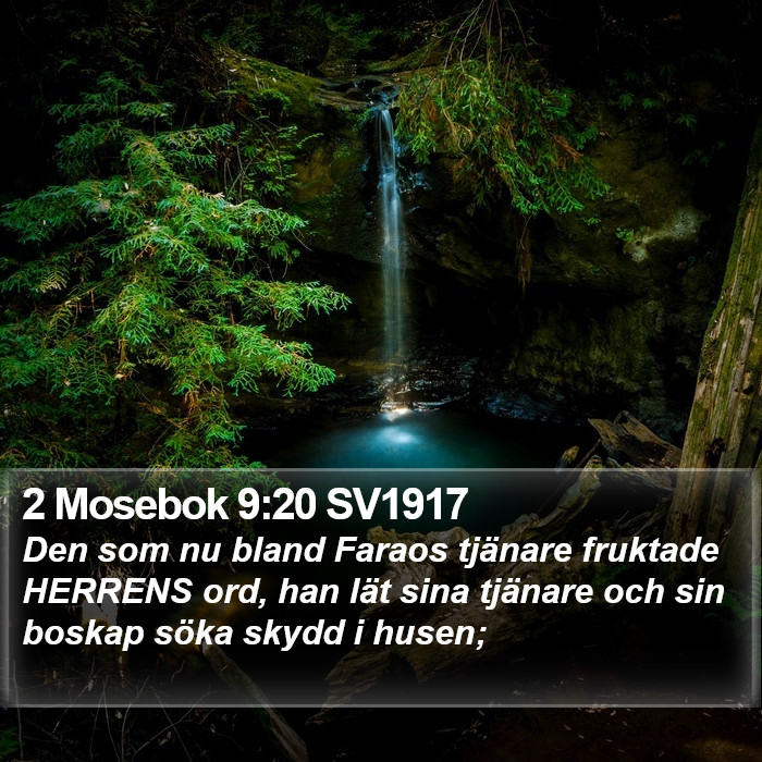 2 Mosebok 9:20 SV1917 Bible Study