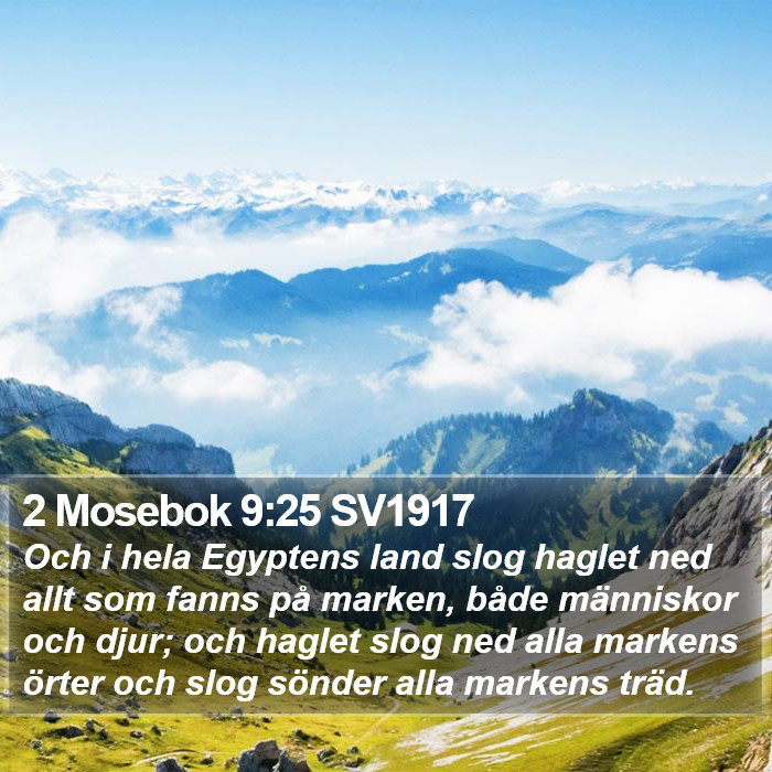 2 Mosebok 9:25 SV1917 Bible Study