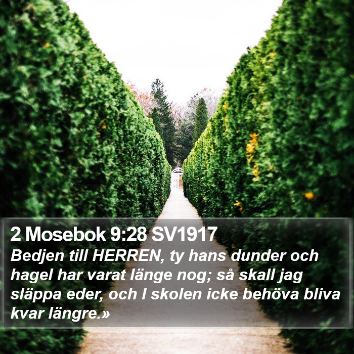 2 Mosebok 9:28 SV1917 Bible Study