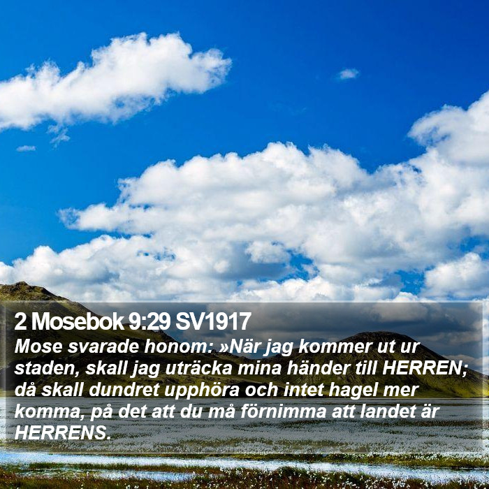 2 Mosebok 9:29 SV1917 Bible Study