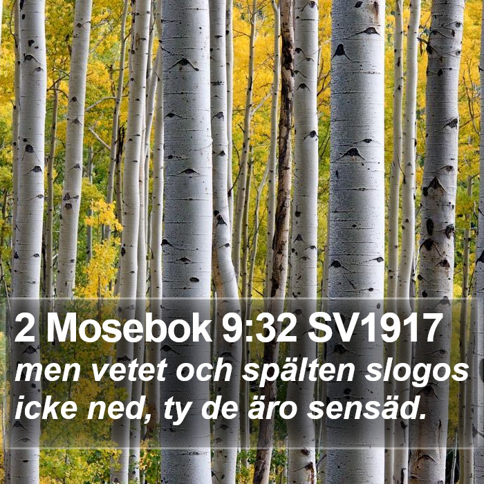 2 Mosebok 9:32 SV1917 Bible Study