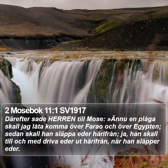 2 Mosebok 11:1 SV1917 Bible Study