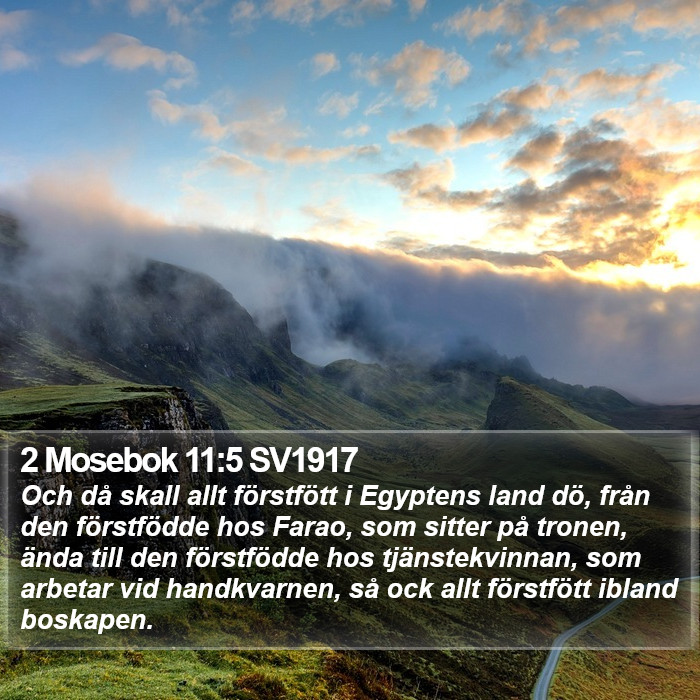 2 Mosebok 11:5 SV1917 Bible Study