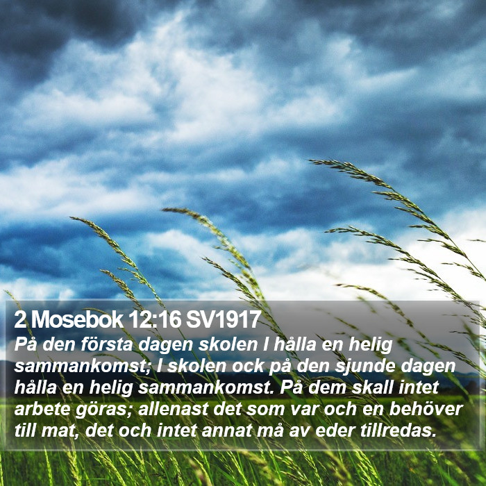 2 Mosebok 12:16 SV1917 Bible Study