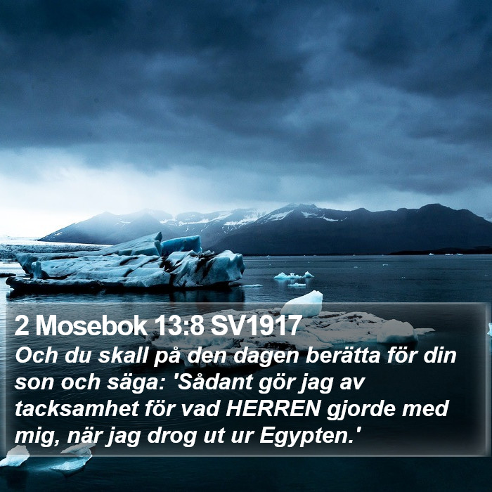 2 Mosebok 13:8 SV1917 Bible Study
