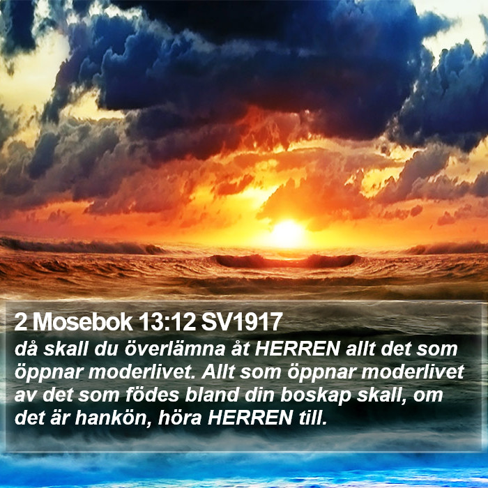 2 Mosebok 13:12 SV1917 Bible Study