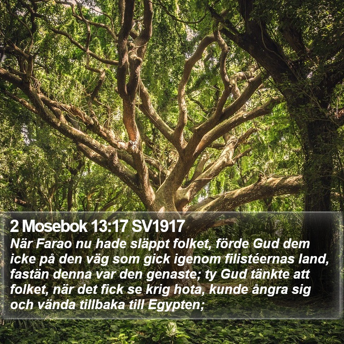2 Mosebok 13:17 SV1917 Bible Study
