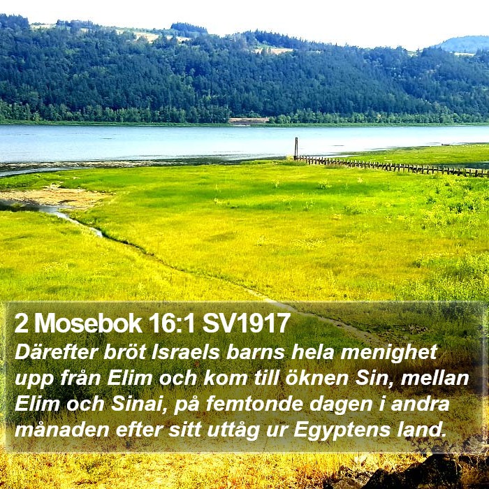 2 Mosebok 16:1 SV1917 Bible Study