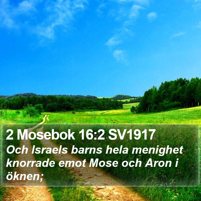 2 Mosebok 16:2 SV1917 Bible Study