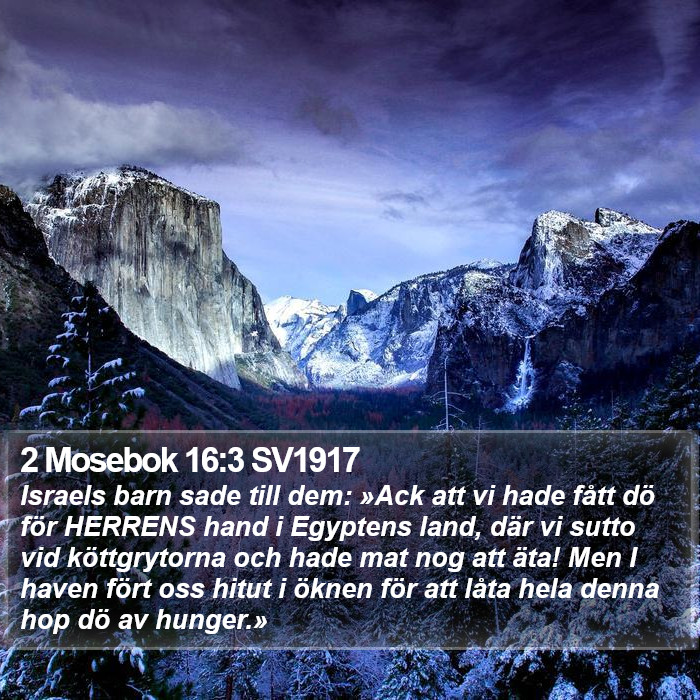 2 Mosebok 16:3 SV1917 Bible Study