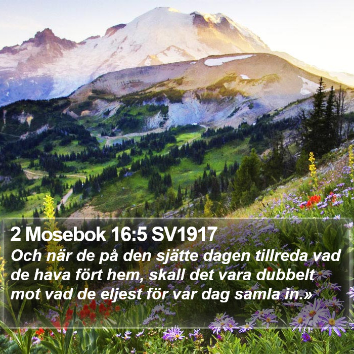 2 Mosebok 16:5 SV1917 Bible Study