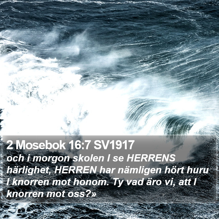 2 Mosebok 16:7 SV1917 Bible Study