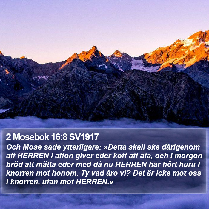 2 Mosebok 16:8 SV1917 Bible Study