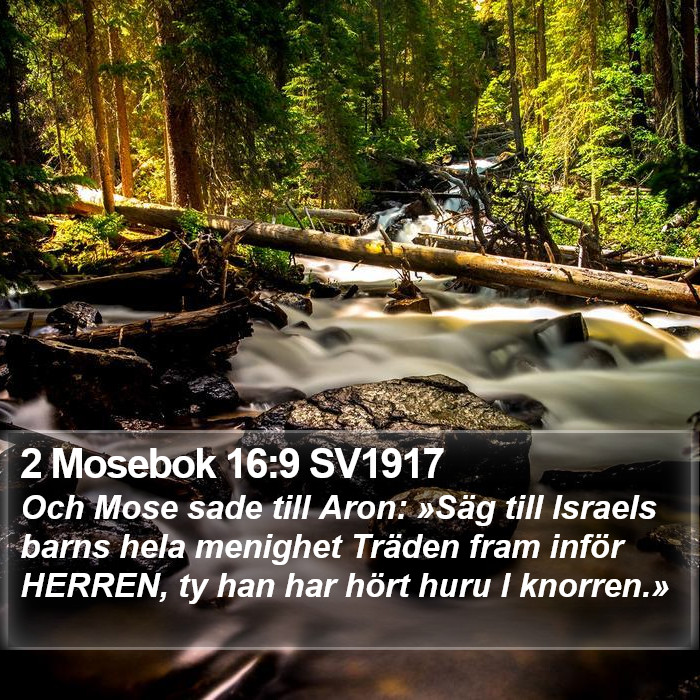 2 Mosebok 16:9 SV1917 Bible Study