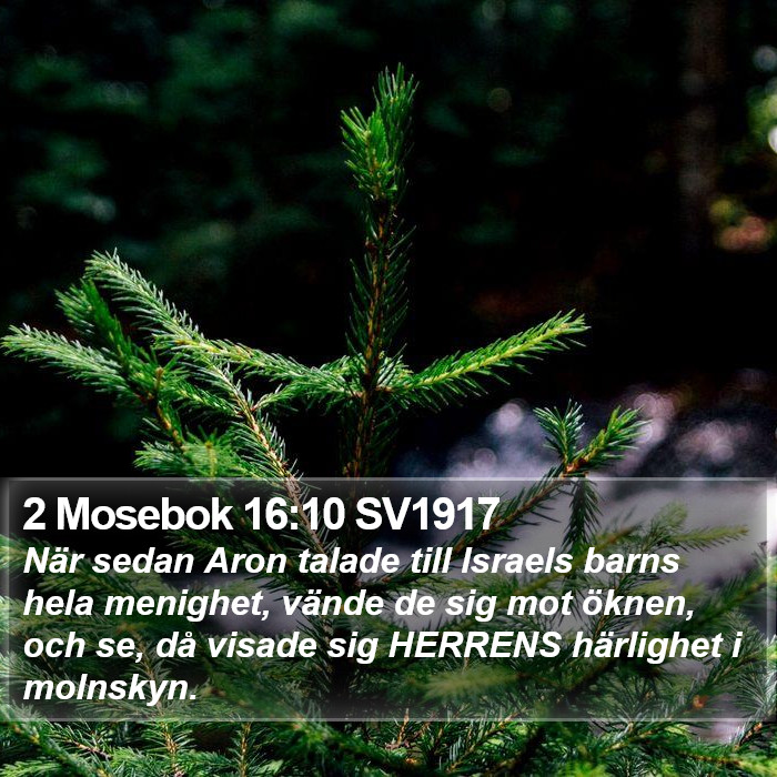 2 Mosebok 16:10 SV1917 Bible Study