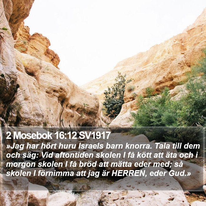 2 Mosebok 16:12 SV1917 Bible Study