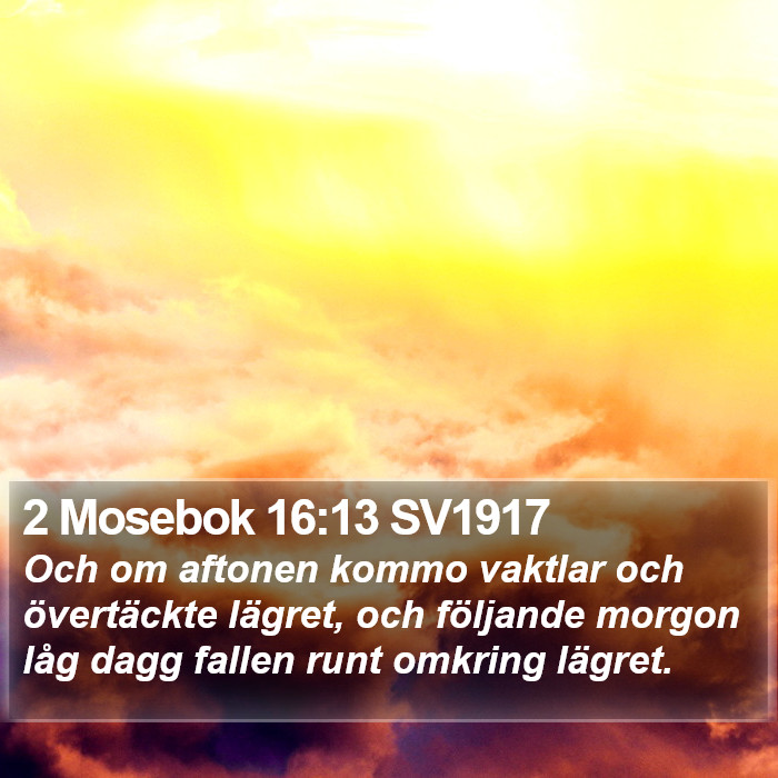 2 Mosebok 16:13 SV1917 Bible Study