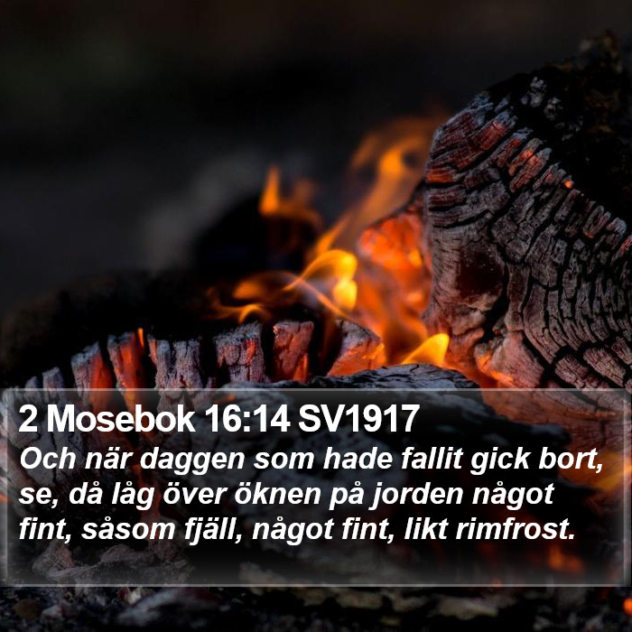 2 Mosebok 16:14 SV1917 Bible Study