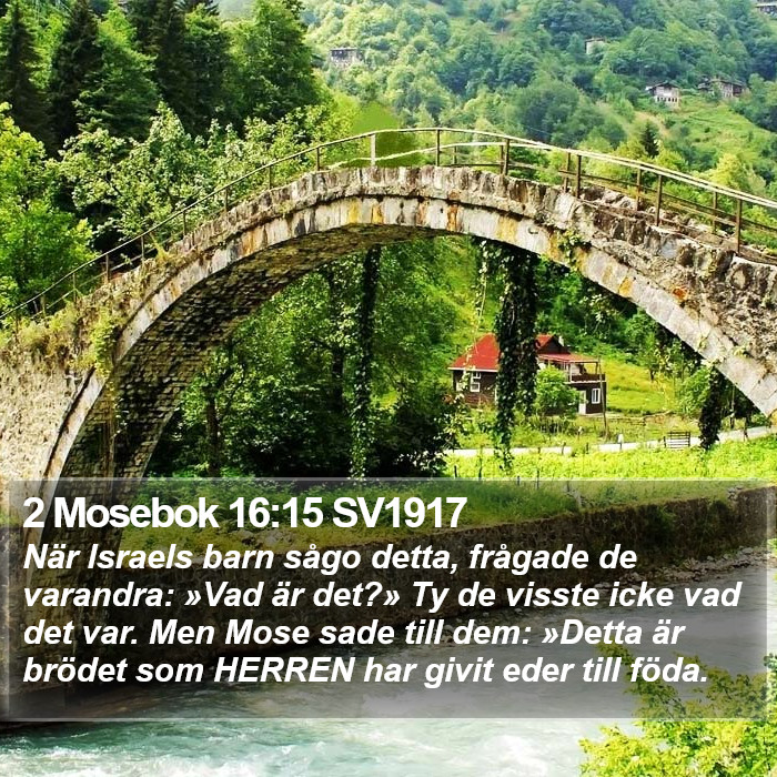 2 Mosebok 16:15 SV1917 Bible Study