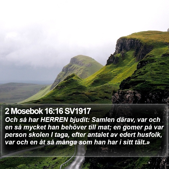 2 Mosebok 16:16 SV1917 Bible Study