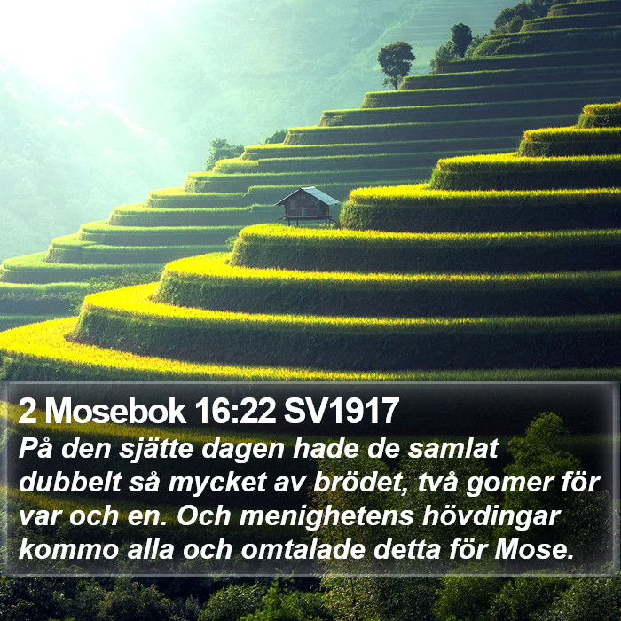 2 Mosebok 16:22 SV1917 Bible Study