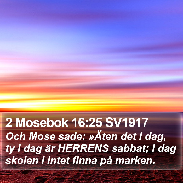 2 Mosebok 16:25 SV1917 Bible Study