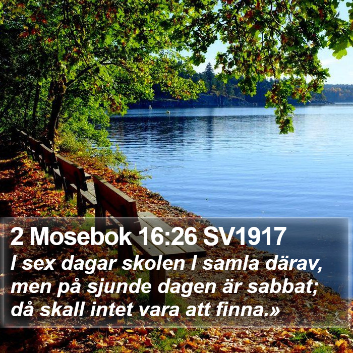 2 Mosebok 16:26 SV1917 Bible Study