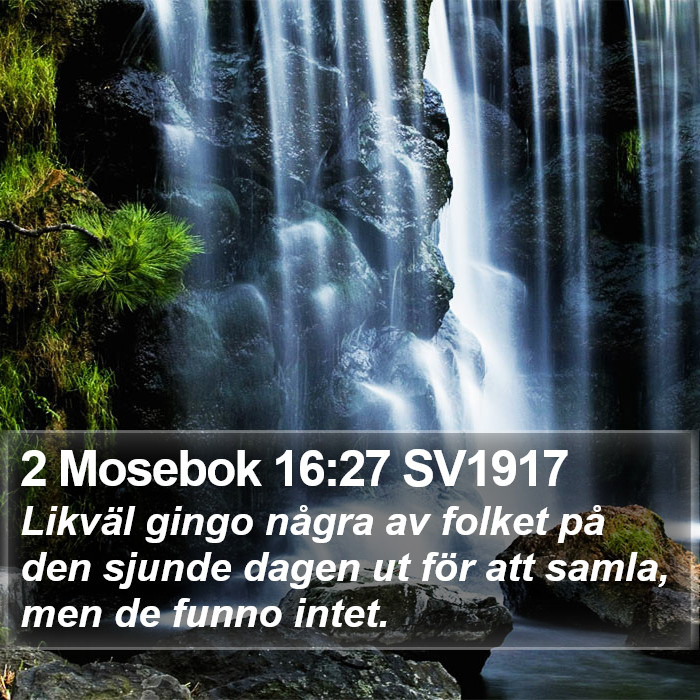 2 Mosebok 16:27 SV1917 Bible Study