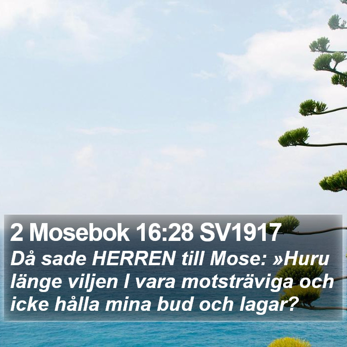 2 Mosebok 16:28 SV1917 Bible Study